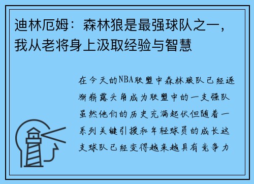 迪林厄姆：森林狼是最强球队之一，我从老将身上汲取经验与智慧