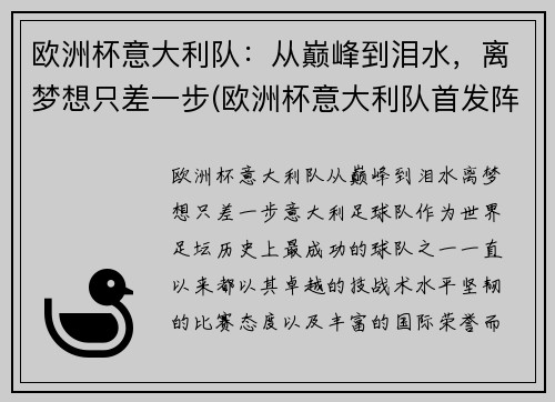 欧洲杯意大利队：从巅峰到泪水，离梦想只差一步(欧洲杯意大利队首发阵容)