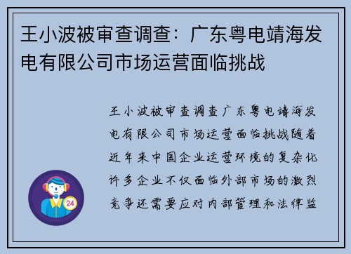 王小波被审查调查：广东粤电靖海发电有限公司市场运营面临挑战
